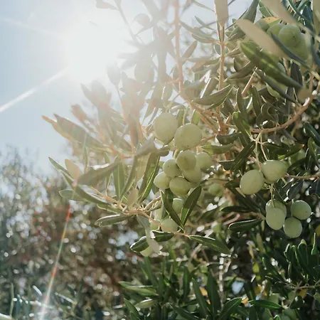 Sunset Waves Boutique Διαμέρισμα Τρογκίρ